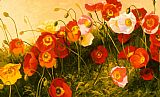 Poppies In Celebration by Shirley Novak